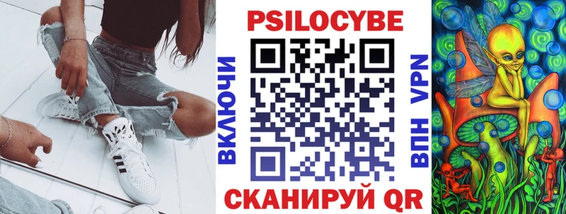 Купить закладки  Вятские Поляны  Псилоцибиновые грибы мицелий 